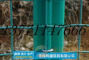 呼伦贝尔荷兰网的卓越优势与应用价值